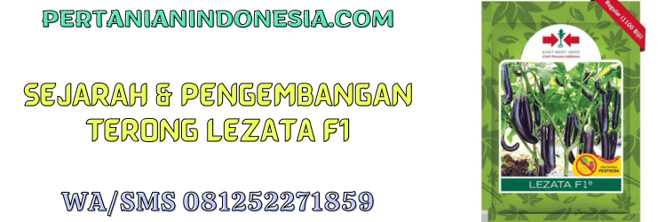 sejarah,pengembangan,terung,tanaman,tanaman terong,pertanian indonesia